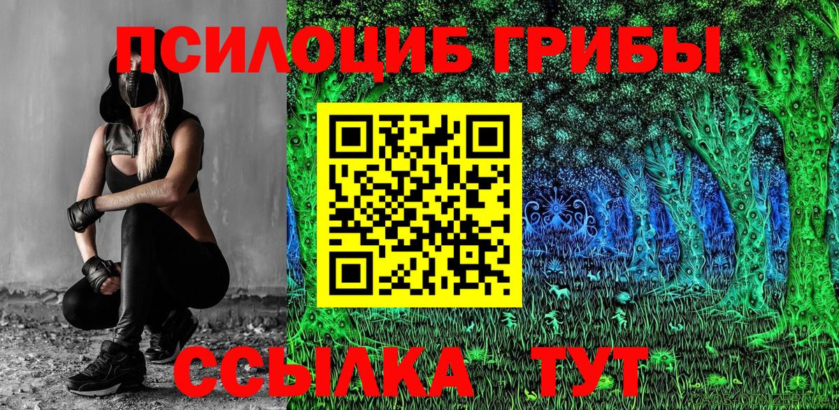 Галлюциногенные грибы GOLDEN TEACHER  Вход с VPN  Киселёвск 